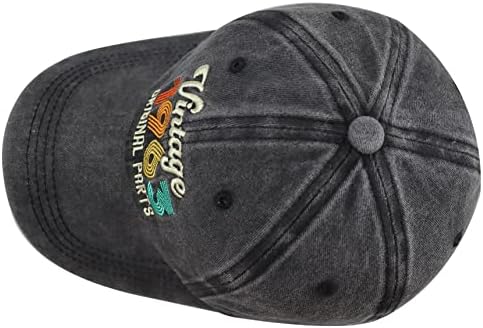 Gomthrpc Vintage 1963 originalni dijelovi kape za muškarce žene, Podesiva oprana pamučna vezena bejzbol