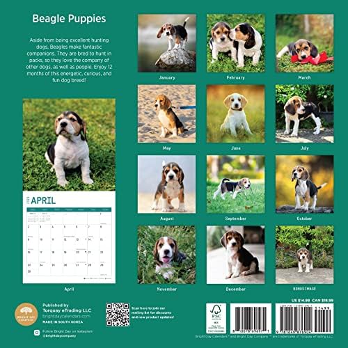 2023 Zidni kalendar Zidni kalendar sa vedrim danom, 12x12 inča, simpatična fotografija za pse za kućne ljubimce