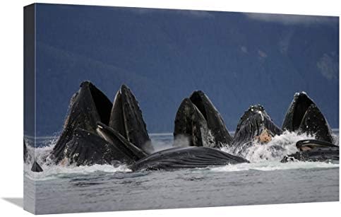 16 x 24 in. Humpback Whale Pod Bubble Net Feeding, Umjetnička Štampa Jugoistočne Aljaske - Hiroya Minakuchi