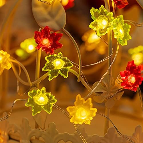 BOHON zahvalnosti dekoracije Javor ostavlja Fairy niz svjetla s daljinskim 10ft 40LEDs baterije niz svjetla