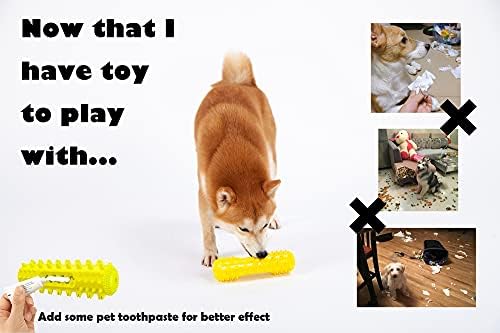 Trajni pas žvakačke igračke TPR pasa za zube čevanja igračka interaktivna psa škripačka igračka pluta u