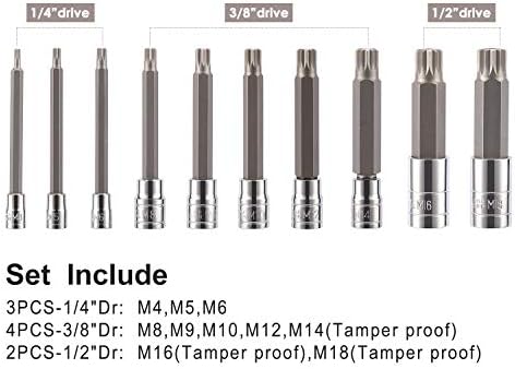 CASOMAN 10 komad Spline Tip Bit Socket Set, M-Type, S2 i Cr-V čelik, Extra Long 4 Length, M4-M18, Xzn Triple