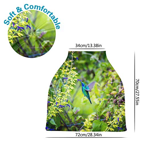 Yyzzh Green Violet Ear Hummingbird cvijet hranjenja u cvjetnoj šumi rastezljive dječje sigurnosne sjedalo