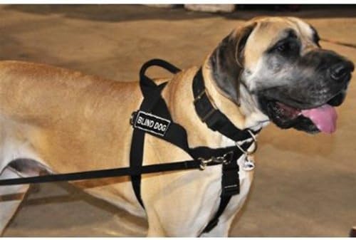 Dean & Tyler D & T univerzalni Blinddog BK-XL DT Universal Nema poteškoća bez psa, slijepi pas, X-Veliki,