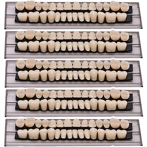MIBICIRI 140 kom akrilna smola zubi zubna proteza zubna sintetička smola zubna proteza proteza Halloween horor Prop 23 A2 )
