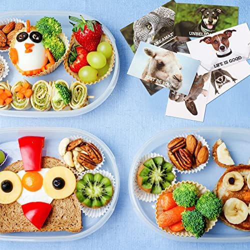120 komada smiješne bilješke o kutiji za ručak za životinje za djecu Mini motivacijske i inspirativne kartice