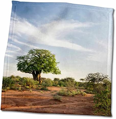 3Droza Pejzaž zalaska sunca sa afričkim baobabom, Tsavo-West NP, Kenija, Afrika - Ručnici