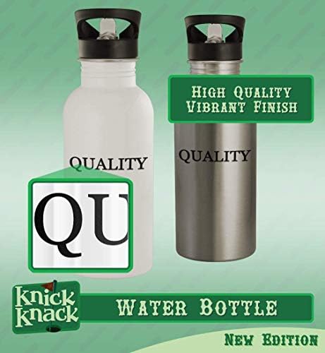 Knick Klack pokloni Atsushi - 20oz boca vode od nehrđajućeg čelika, srebro