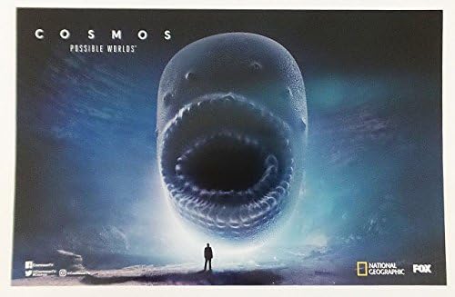 Kosmos-11 x17 originalni Promo TV Poster SDCC 2018 MINT Neil deGrasse Tyson
