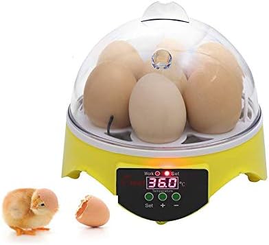 Alremo 103234536 inkubator za jaja digitalna kontrola Temperature za Valjenje pileće patke guske ptice,