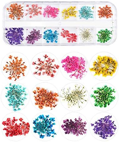 NEPAK 4 kutije Nail sušeno cvijeće i 3D leptir šljokice za nokte sa šljokicama, Holografske šljokice za nokte za savjete manikir dekor