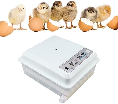 Mavis LAVEN inkubator za jaja, automatska digitalna mašina za Valjenje peradi Mašina za automatsko okretanje