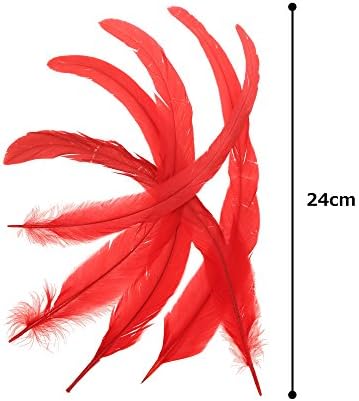 KIYOHARA kokkuhurinzi Crvena 27 ~ 33  cm približno pakovanje od 1  FT12 