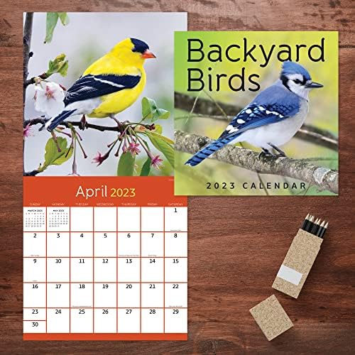 TF Izdavanje backyard-a ptica 2023 Zidni kalendar 12 mjeseci | Premium 2023 kalendarski zid | Veliki zidni