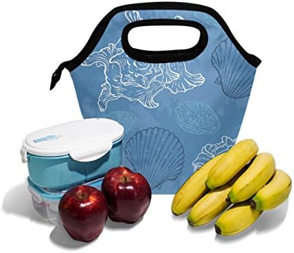 HEOEH Conch plava torba za ručak Cooler Tote Bag izolovana kutija za ručak sa patentnim zatvaračem torba