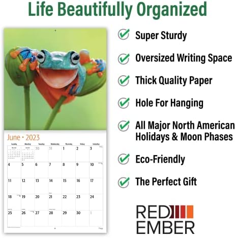 Crvene ember žabe Jan - 20. dec. 2023. Mesečni zidni kalendar | Deluxe Edition - 5 Dodatne slike sa punim