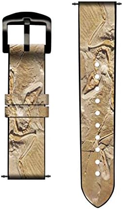 CA0047 Dinosaur fosilna kožna i silikonska pametna traka za sat za garmin pristup S40, Forerunner 245/245/645/645,