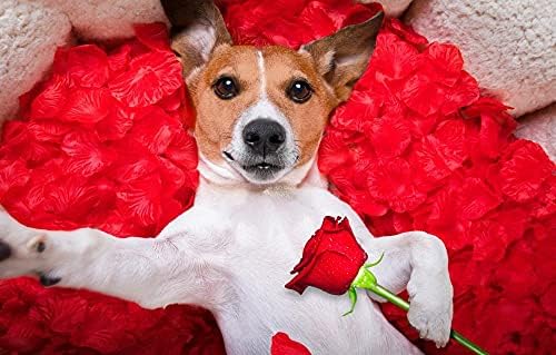 LHjoy Cherd Pokloni za odrasle 500 komada Puzzle psa ružičasti pas