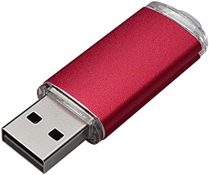 Vicfun 10 pack 2GB USB flash diskovi 2GB Flash Drive Pack USB 2.0 USB memorijski štap-crveni