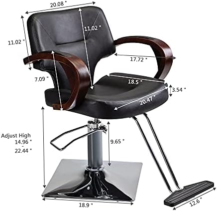 PENNYNANA frizerska stolica za oblikovanje, salonska stolica za frizera, okretna frizerska stolica za 360