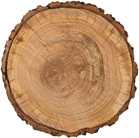 Američki zanatski papir - specijalitet - PB - JH - Toplo i ugodno - Die-Cut Cardstock - Trpk drveta