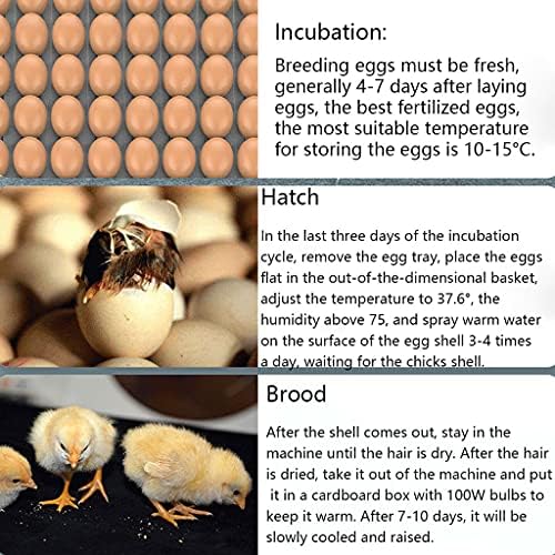 ZAPION Digitalni inkubatori Valjenje jaja sa automatskim i kontrolom Temperature za piliće patke ptice