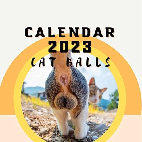 Cat Butts 2023 za mačke - Funny Cats Calendar, mač kalendar 2023 Mjesečni zidni kalendari Slatki smiješni