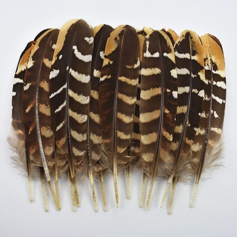 10pcs / Lot prirodni Scare Eagle fazan perje za zanate 12-18cm 5-7 Feather Crafts DIY nakit rukotvorina